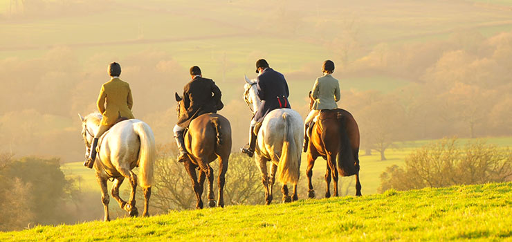 Hunting Vacation with the Blackmore Vale