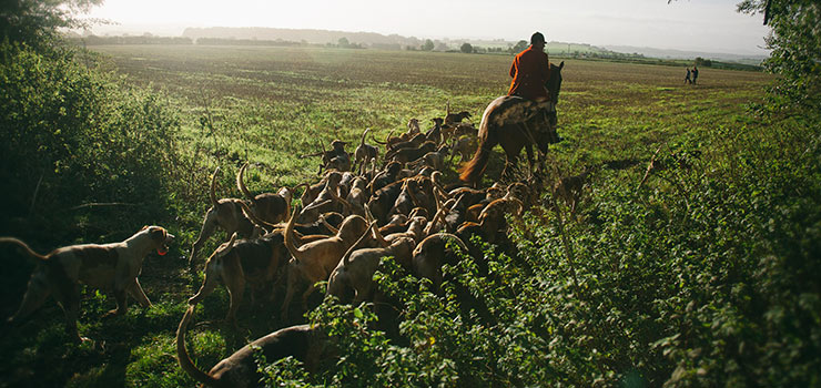 Foxhunting Weekend in England