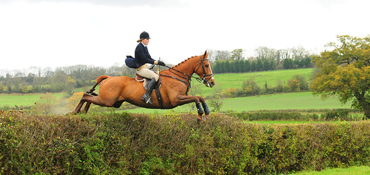 A foxhunting holiday in England