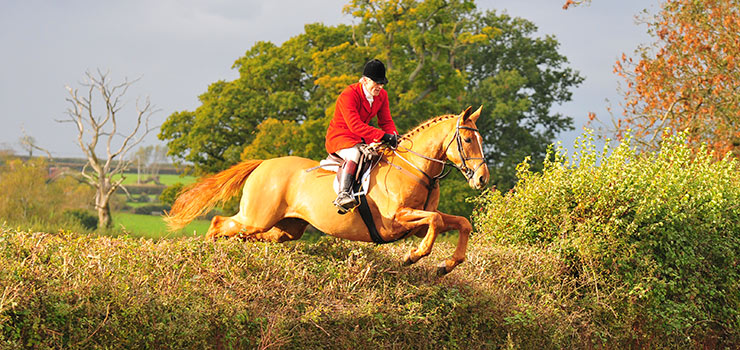Fall riding vacation England