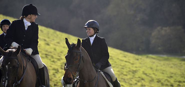 Debut to English Hunting